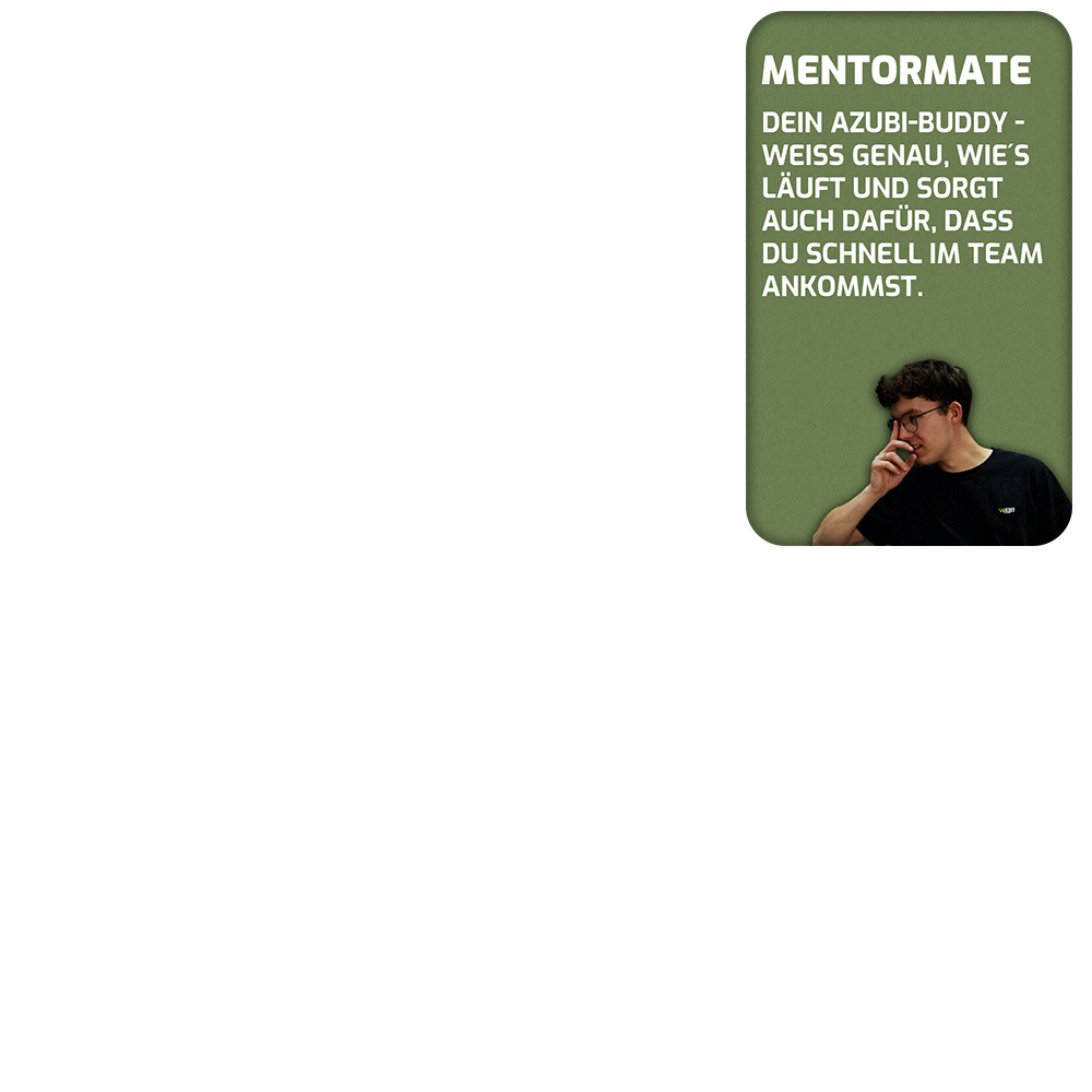 Mentor Mate Alternate